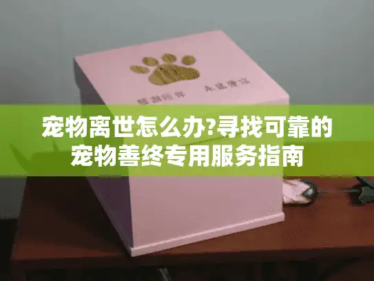 宠物离世怎么办?寻找可靠的宠物善终专用服务指南