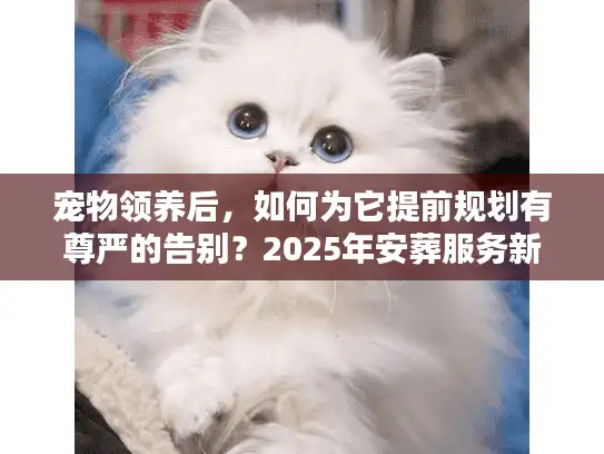 宠物领养后，如何为它提前规划有尊严的告别？2025年安葬服务新趋势解密