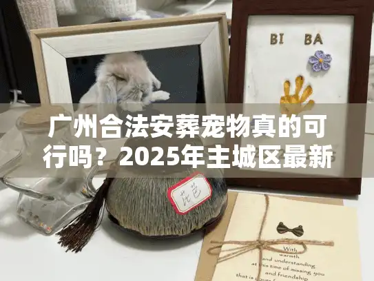 广州合法安葬宠物真的可行吗？2025年主城区最新解决方案全透视