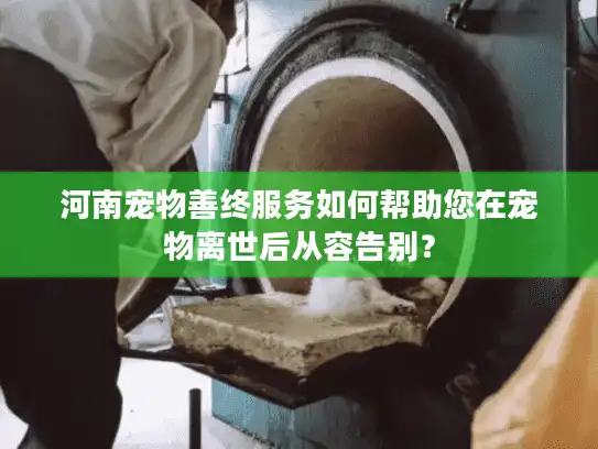 河南宠物善终服务如何帮助您在宠物离世后从容告别？