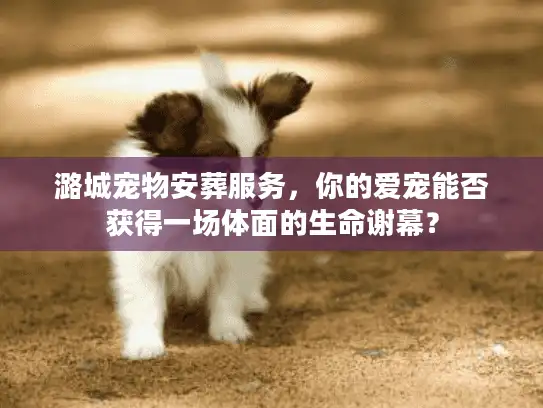 潞城宠物安葬服务，你的爱宠能否获得一场体面的生命谢幕？
