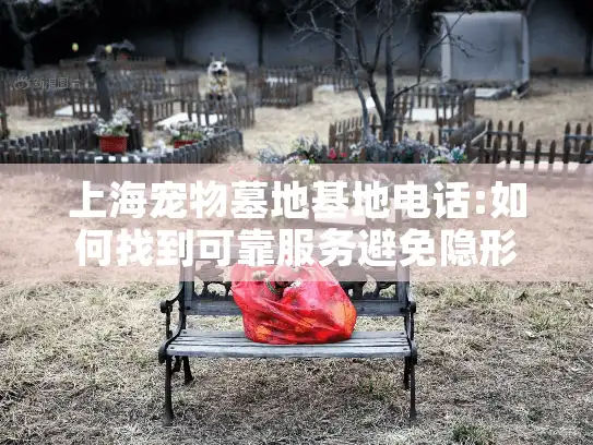 上海宠物墓地基地电话:如何找到可靠服务避免隐形消费陷阱?