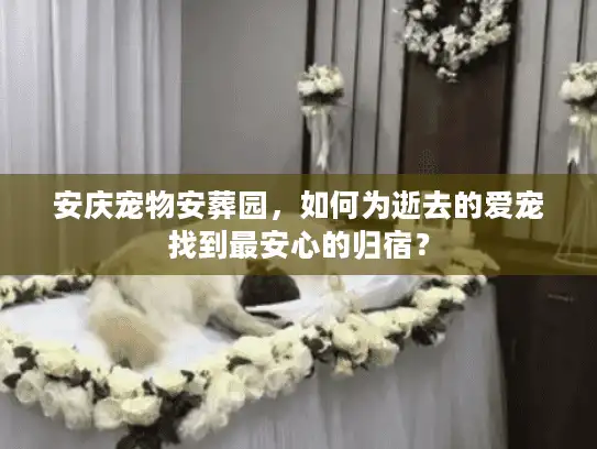 安庆宠物安葬园，如何为逝去的爱宠找到最安心的归宿？