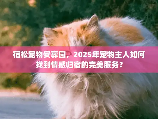 宿松宠物安葬园，2025年宠物主人如何找到情感归宿的完美服务？