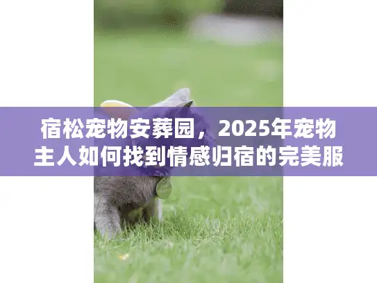 宿松宠物安葬园，2025年宠物主人如何找到情感归宿的完美服务？