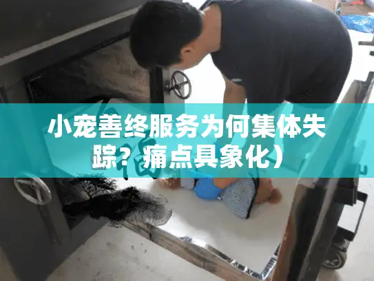 小宠善终服务为何集体失踪？痛点具象化）