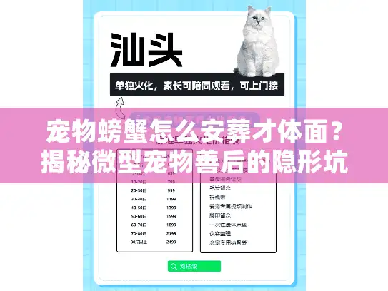 宠物螃蟹怎么安葬才体面？揭秘微型宠物善后的隐形坑