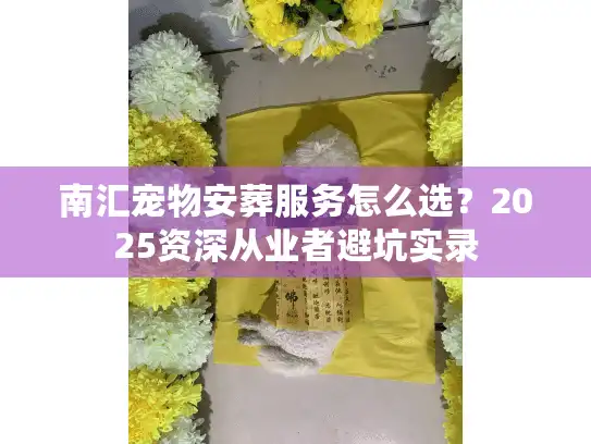 南汇宠物安葬服务怎么选？2025资深从业者避坑实录