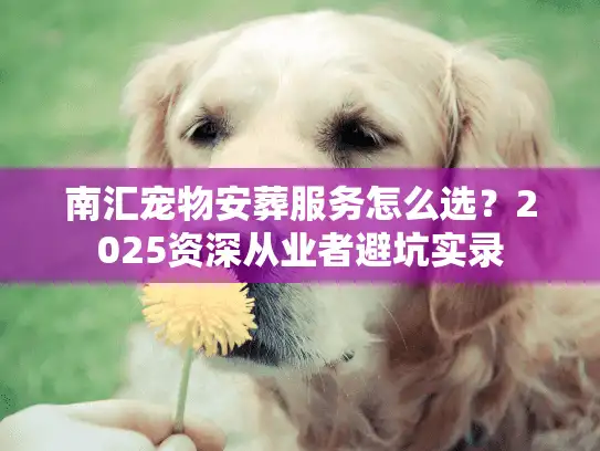 南汇宠物安葬服务怎么选？2025资深从业者避坑实录