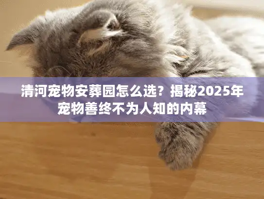 清河宠物安葬园怎么选？揭秘2025年宠物善终不为人知的内幕
