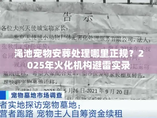 渑池宠物安葬处理哪里正规？2025年火化机构避雷实录
