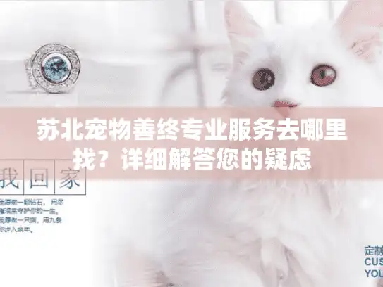 苏北宠物善终专业服务去哪里找？详细解答您的疑虑