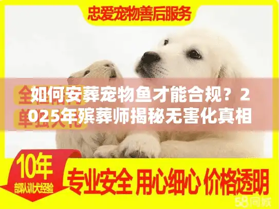 如何安葬宠物鱼才能合规？2025年殡葬师揭秘无害化真相