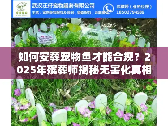 如何安葬宠物鱼才能合规？2025年殡葬师揭秘无害化真相