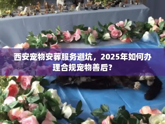 西安宠物安葬服务避坑，2025年如何办理合规宠物善后？