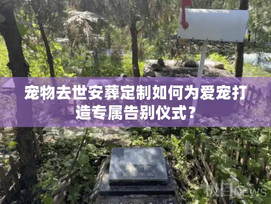 宠物去世安葬定制如何为爱宠打造专属告别仪式？