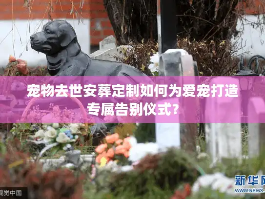 宠物去世安葬定制如何为爱宠打造专属告别仪式？