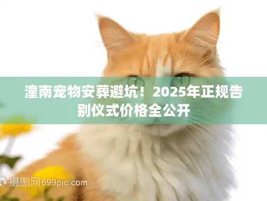 潼南宠物安葬避坑！2025年正规告别仪式价格全公开