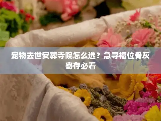 宠物去世安葬寺院怎么选？急寻福位骨灰寄存必看