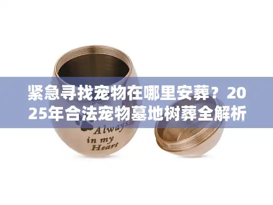 紧急寻找宠物在哪里安葬？2025年合法宠物墓地树葬全解析