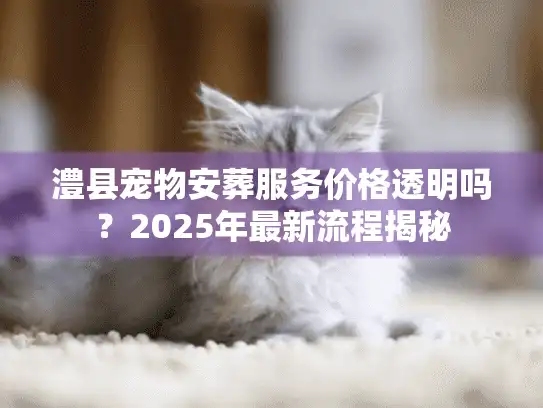 澧县宠物安葬服务价格透明吗？2025年最新流程揭秘