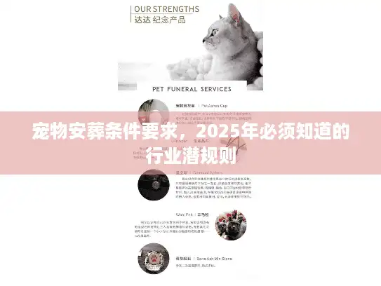 宠物安葬条件要求，2025年必须知道的行业潜规则