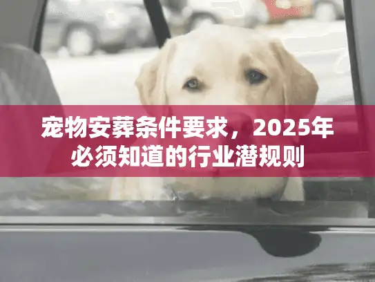 宠物安葬条件要求，2025年必须知道的行业潜规则