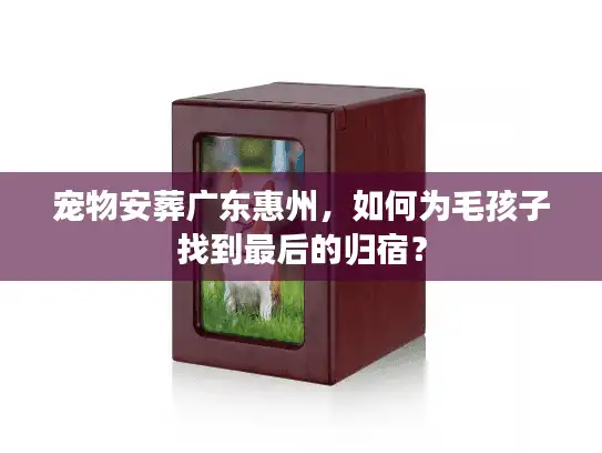 宠物安葬广东惠州，如何为毛孩子找到最后的归宿？