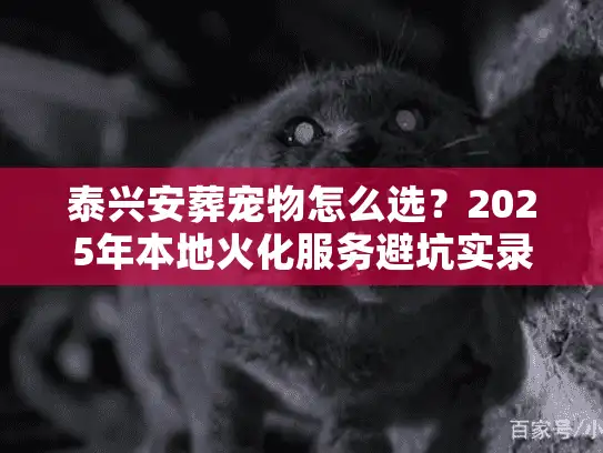 泰兴安葬宠物怎么选？2025年本地火化服务避坑实录