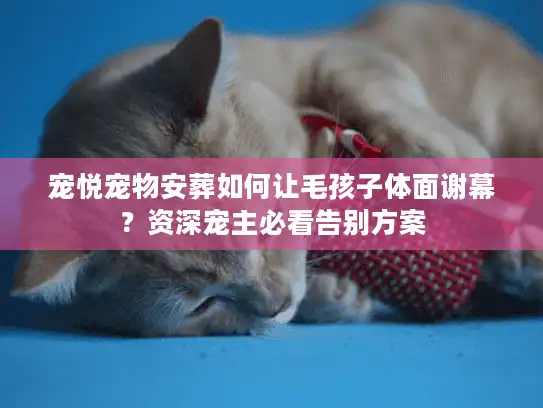 宠悦宠物安葬如何让毛孩子体面谢幕？资深宠主必看告别方案
