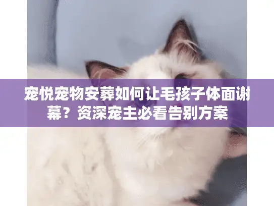 宠悦宠物安葬如何让毛孩子体面谢幕？资深宠主必看告别方案