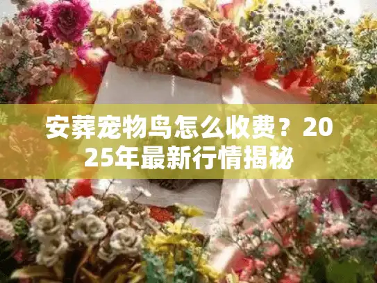 安葬宠物鸟怎么收费？2025年最新行情揭秘