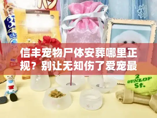 信丰宠物尸体安葬哪里正规？别让无知伤了爱宠最后尊严