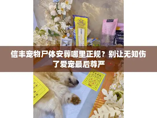 信丰宠物尸体安葬哪里正规？别让无知伤了爱宠最后尊严