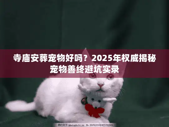 寺庙安葬宠物好吗？2025年权威揭秘宠物善终避坑实录