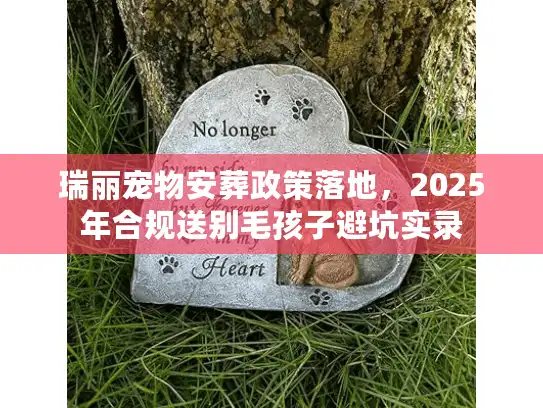 瑞丽宠物安葬政策落地，2025年合规送别毛孩子避坑实录
