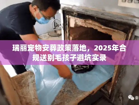 瑞丽宠物安葬政策落地，2025年合规送别毛孩子避坑实录