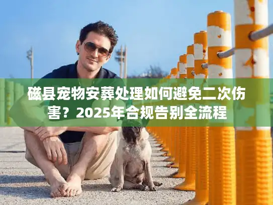 磁县宠物安葬处理如何避免二次伤害？2025年合规告别全流程
