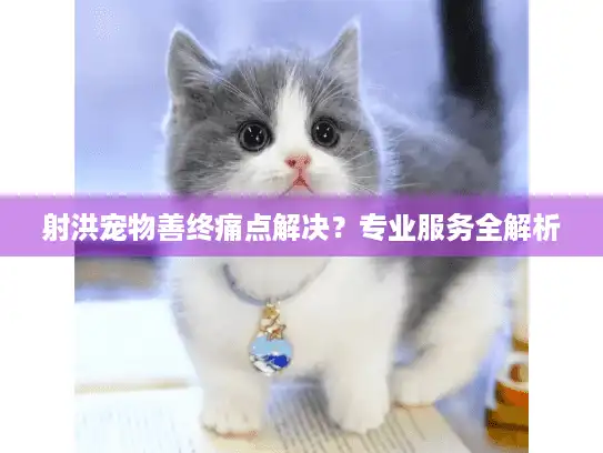 射洪宠物善终痛点解决？专业服务全解析