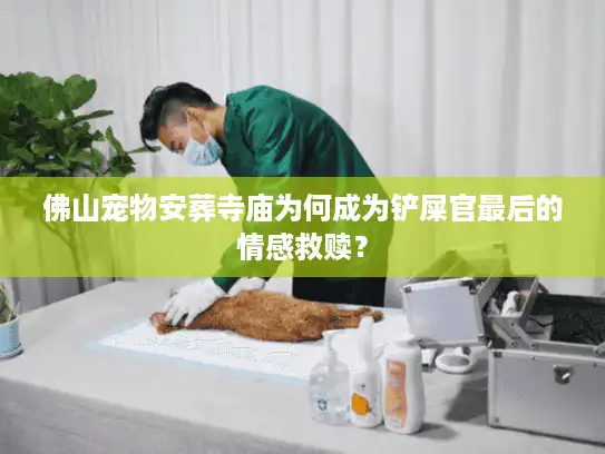 佛山宠物安葬寺庙为何成为铲屎官最后的情感救赎？