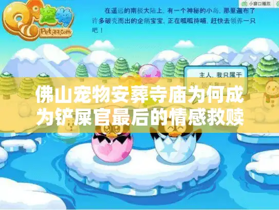 佛山宠物安葬寺庙为何成为铲屎官最后的情感救赎？