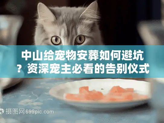 中山给宠物安葬如何避坑？资深宠主必看的告别仪式