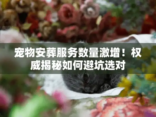宠物安葬服务数量激增！权威揭秘如何避坑选对