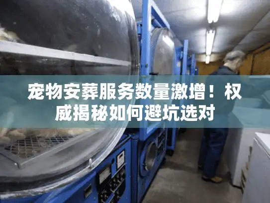 宠物安葬服务数量激增！权威揭秘如何避坑选对