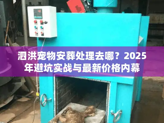 泗洪宠物安葬处理去哪？2025年避坑实战与最新价格内幕