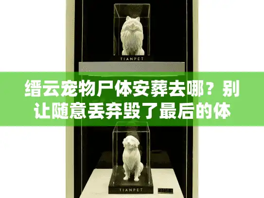 缙云宠物尸体安葬去哪？别让随意丢弃毁了最后的体面