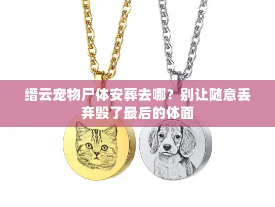 缙云宠物尸体安葬去哪？别让随意丢弃毁了最后的体面
