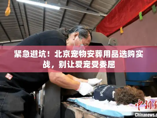 紧急避坑！北京宠物安葬用品选购实战，别让爱宠受委屈