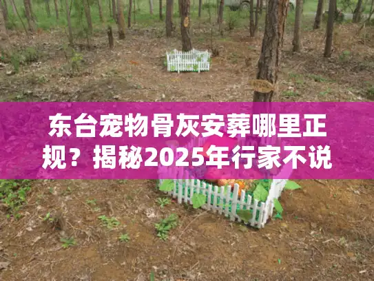 东台宠物骨灰安葬哪里正规？揭秘2025年行家不说的内幕