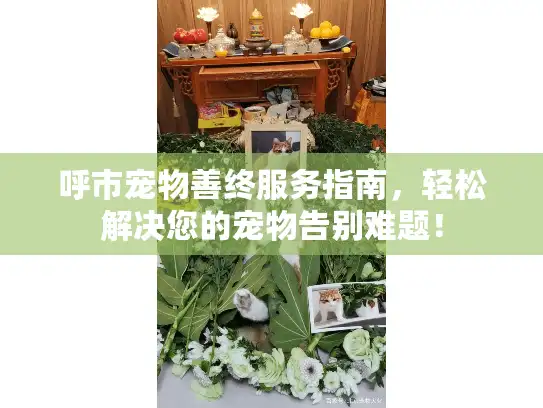 呼市宠物善终服务指南，轻松解决您的宠物告别难题！